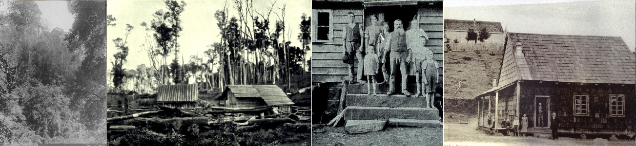 Historia de colonización